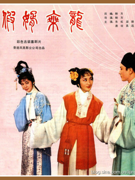 假婿乘龙