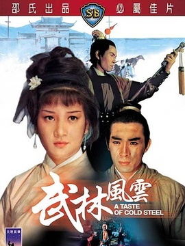武林风云