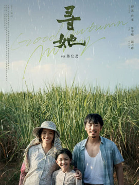 寻她