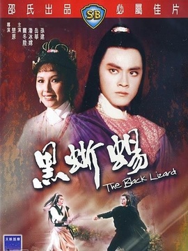 黑蜥蜴