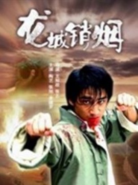 龙城销烟