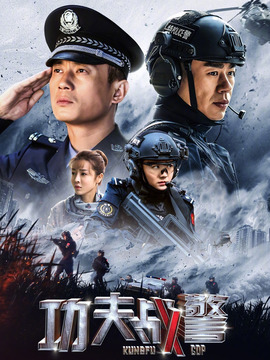 功夫战警