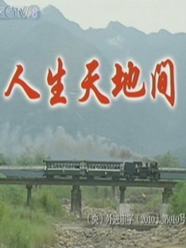 人生天地间