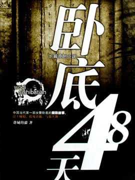 卧底48天
