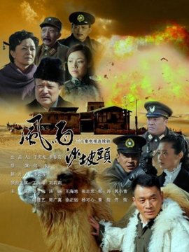 风雨沙坡头