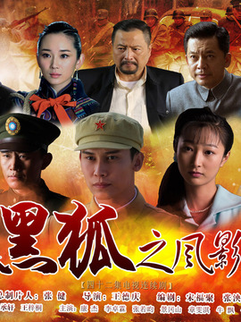 黑狐之风影