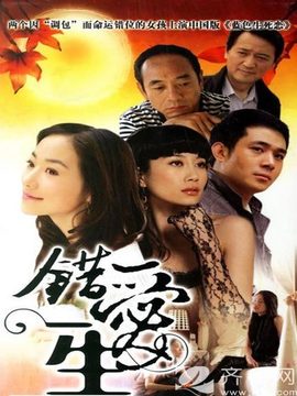 错爱一生